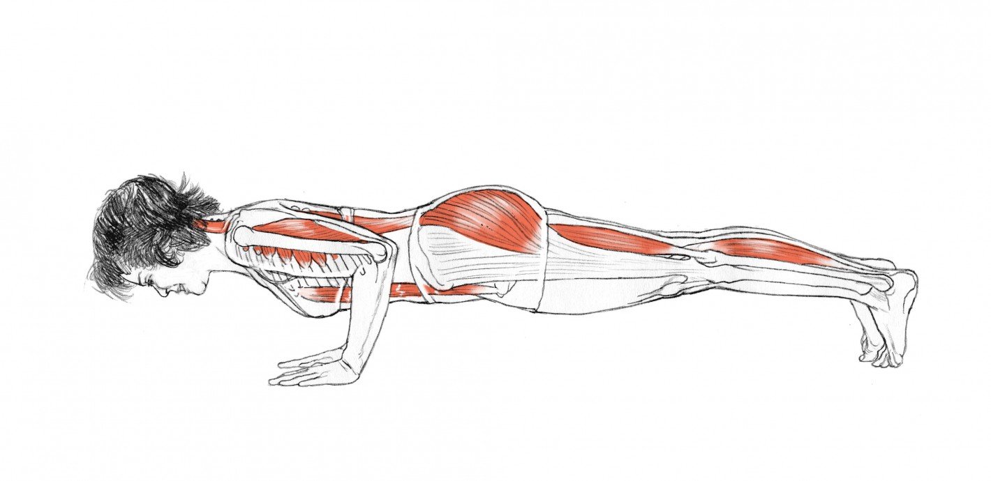 Use the Strength of Your Whole Body in Chaturanga Dandasana