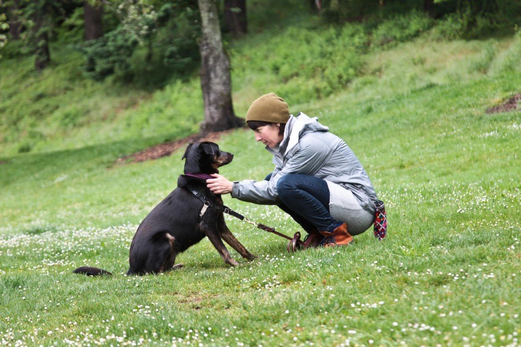 umadog
