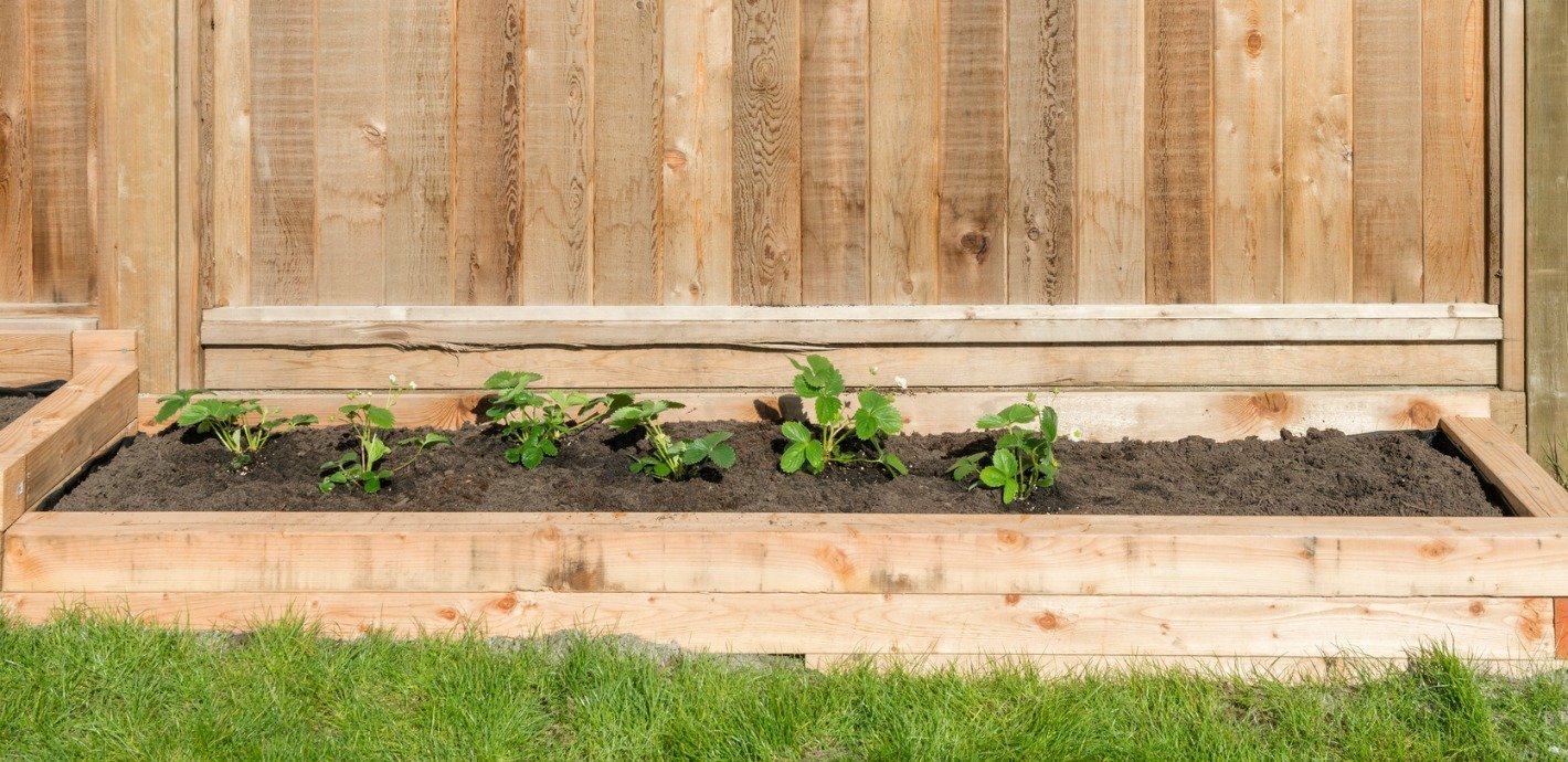 planted a few things / and spent time building the box / back yard diy