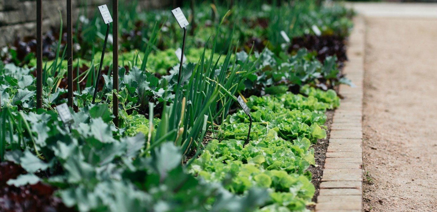 ground garden