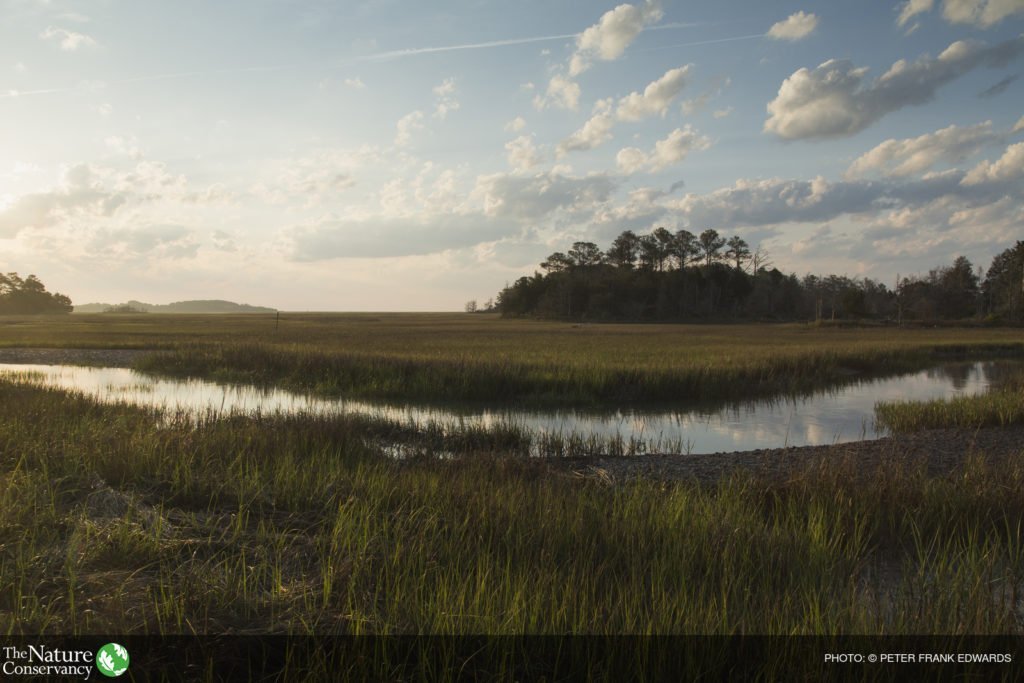 (ALL INTERAL & LIMITED EXTERNAL RIGHTS) June 2014. Landscapes at TNC Brownsville Photo credit: © Peter Frank Edwards for The Nature Conservancy