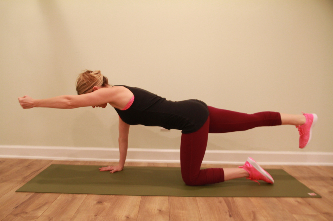 bird dog yoga bird dog yoga