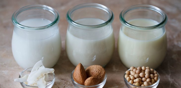 Which Of These 10 Types Of Milk Is Best For You Sonima